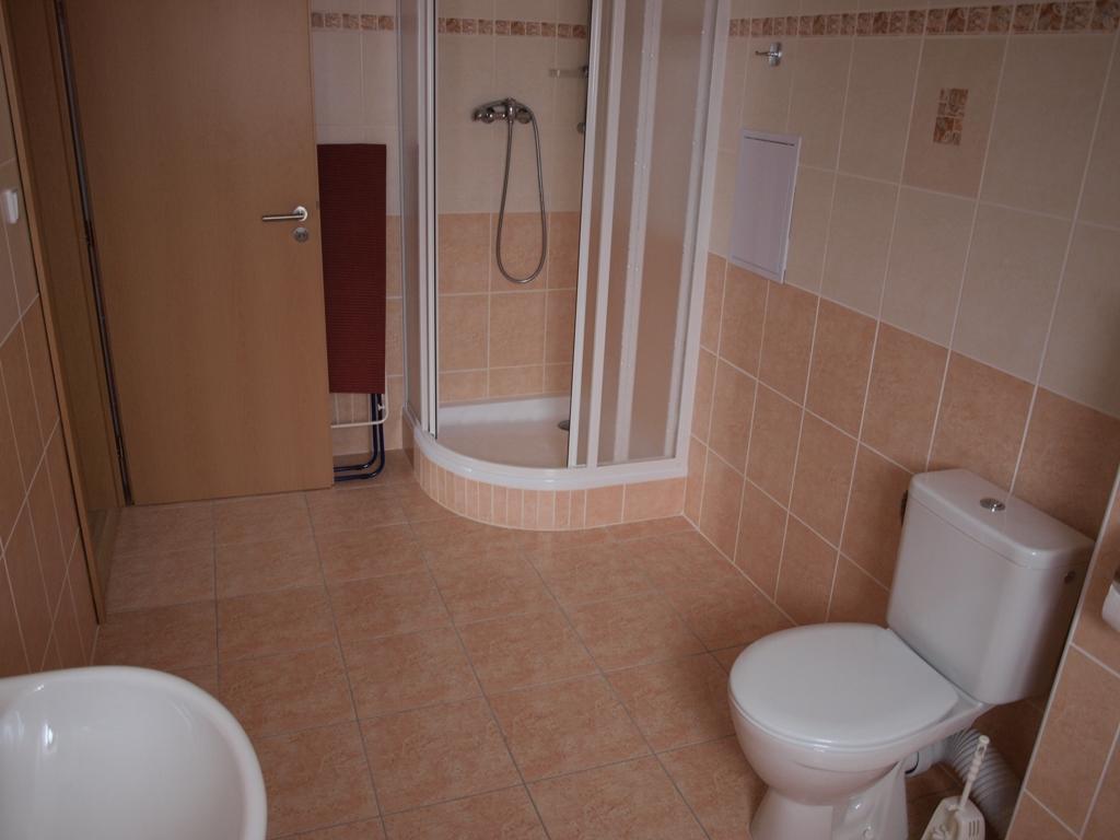 Apartments Viktoria Klinovec Kovářská المظهر الخارجي الصورة