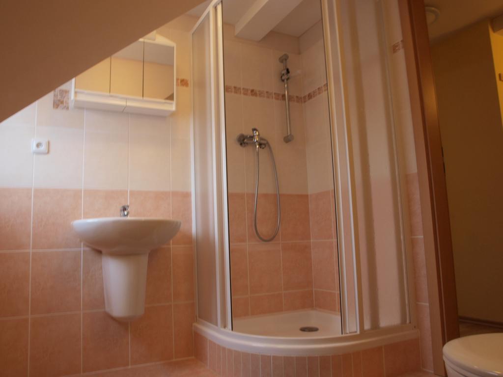 Apartments Viktoria Klinovec Kovářská المظهر الخارجي الصورة